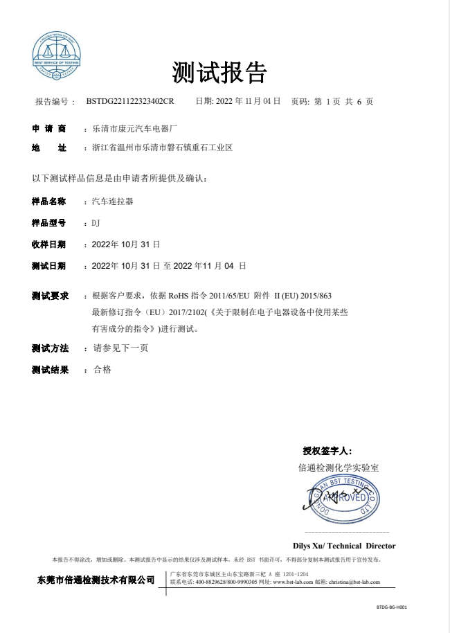 科杰 BSTDG221122323402CR بنفايات 中文 报告