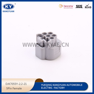 5PIN Female DJK7055Y-2.2-21