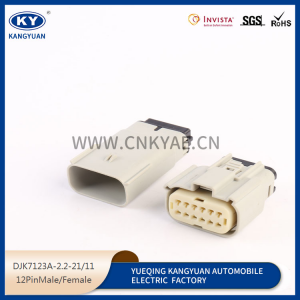 12PIN Male/Female DJK7123A-2.2-21-11