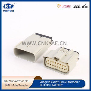 16PIN Male/Female DJK7163A-2.2-21