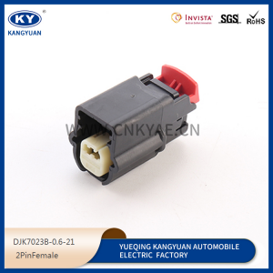 DJK7025C-1.5-21 Buick lacrosse BYD Ford China nozzle harness plug