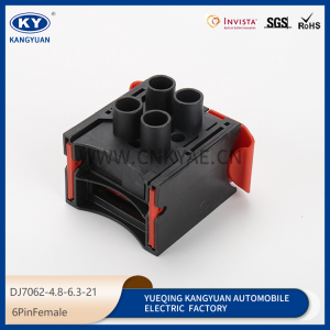 6PIN Female DJ7062-4.8-6.3-21