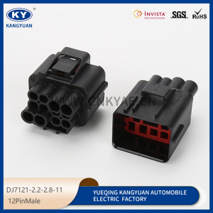 12PIN Male DJ7121-2.2-2.8-11