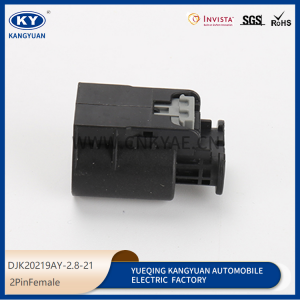 2PIN Female DJK20219AY-2.8-21