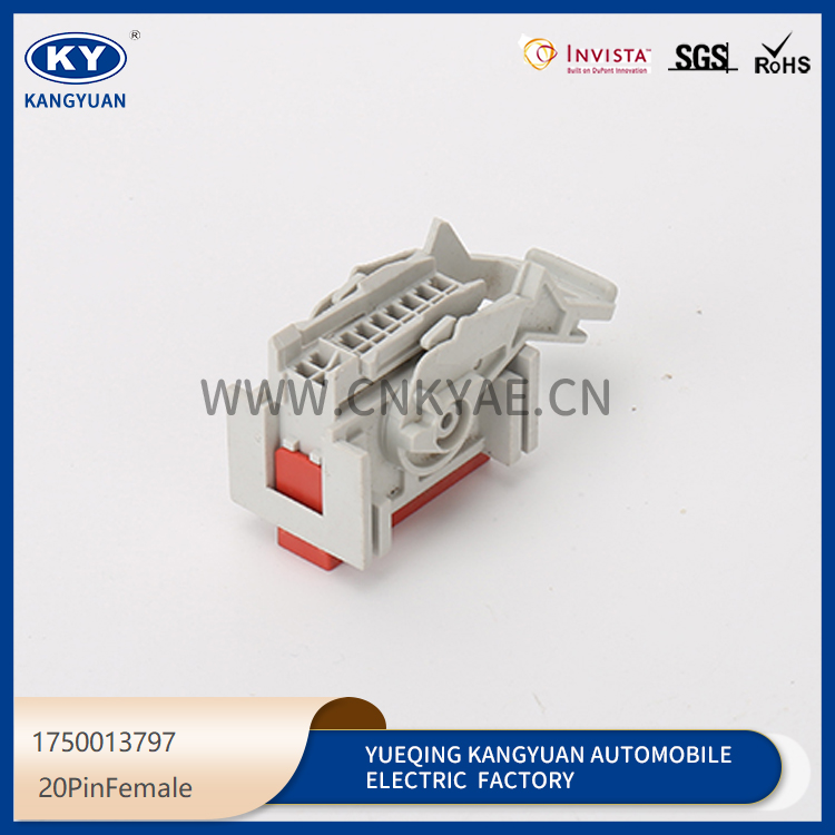 20PIN Female 1750013797 Featured Image