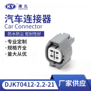 6189-0629 for automotive oxygen sensor plug connector DJK70412.2.2.21