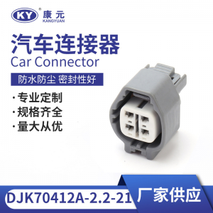 6189-0629 for automotive oxygen sensor plug connector DJK70412A-2.2-21