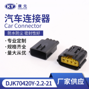 Domestic 6195-0030 automotive ignition controller plug DJ70420Y-2.2-21