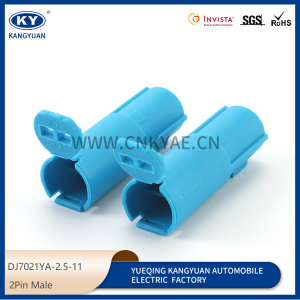 2P sheath connector for wiring vehicle automotive waterproof connector DJ7021YA-2.5-11