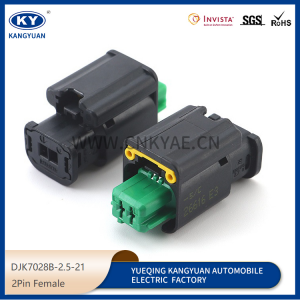 Suitable for automotive headlamp Sensor Plug automotive plug Connector DJK7028B-2.5-21