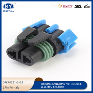 2P for automotive waterproof connectors automotive connectors plug DJK70231-3-21