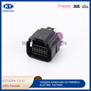 13678638 for automotive waterproof connectors 12P DELFAUT