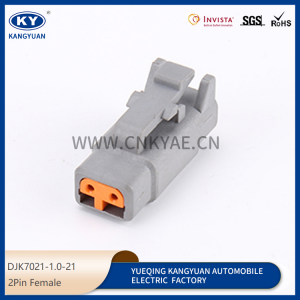 DTM04-2P/DTM06-2S Dutch automotive waterproof connector wire harness plug