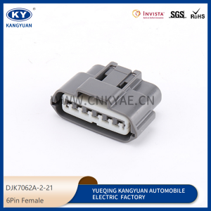 DJK7062A-2-21 is suitable for the plug of gasoline pump plug wiring harness plug Waterproof connector