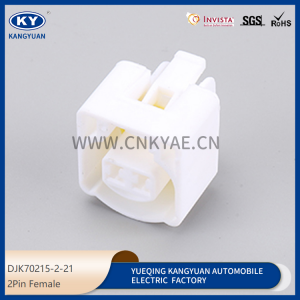 DJK70215-2-21 for automotive waterproof connector 2P wire harness plug plug for vehicles