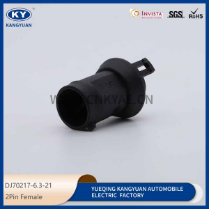DJ70217-6.3-21Suitable for automotive waterproof connectors automotive connectors harness plugs 2P