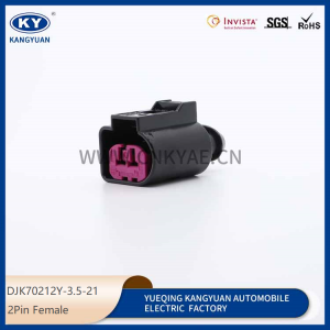 1J0973772 Volkswagen series automotive generator regulator plug 2p-hole automotive connectors with wire harness