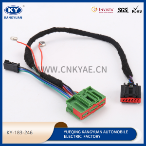 Automotive waterproof connectors wire harness series wire harness plug-KY-183-246