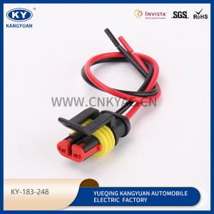 Automotive waterproof connectors wire harness series wire harness plug-KY-183-248