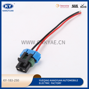 Automotive waterproof connectors wire harness series wire harness plug-KY-183-250