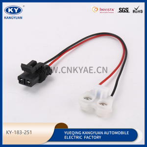 Automotive waterproof connectors wire harness series wire harness plug-KY-183-251