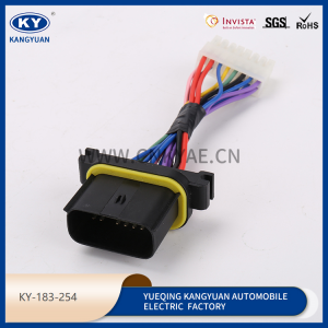 Automotive waterproof connectors wire harness series wire harness plug-KY-183-254
