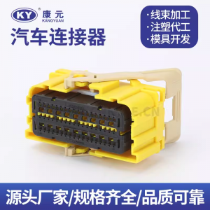 4-2098922-3/1-2203515-0 TE 54 Pin automotive waterproof harness connector plug