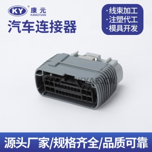 DJK7242S-2.2/2.8-21 PP10000659 Automotive Waterproof Wire Harness Connector Plug Automotive Plug in