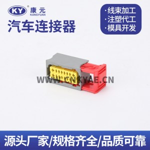 98273/98276-1001 Peugeot Citroen Hyundai Ford Computer Edition Plug DJK7162C-2.5-21