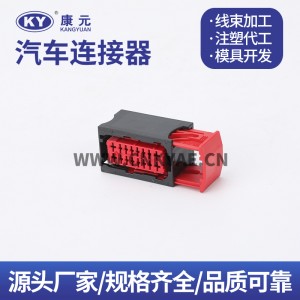 98276-1001/98273-1001 is suitable for automotive sensor plug DJK7162A-2.5-21