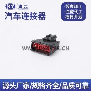 98276-1001/98273-1001 is suitable for automotive sensor plug DJK7162A-2.5-11