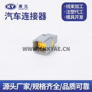 98823-1011/98816-1011 Chevrolet Renault control plug DJK7106B-2.5-11