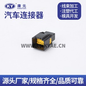 98823-1011/98816-1011 Chevrolet Renault control plug DJK7106Y-2.5-11