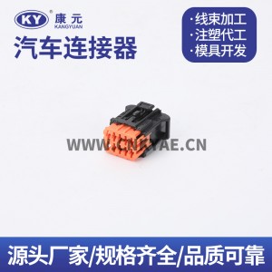 98823-1011/98816-1011 Chevrolet Renault Control Plug DJK7106Y-2.5-21