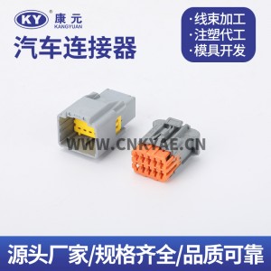 98823-1011/98816-1011 Chevrolet Renault control plug DJK7106C-2.5-21/11