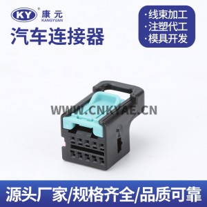DJ7105F-0.6-11/21 Automotive Connector Connector Plastic Shell Terminal 10 Hole 1K0 972 776A