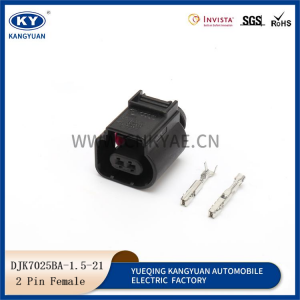 8K0 973 702 Female IAT OAT Outdoor Temperature Sensor 2 Pin Connector for ABS VW Audi