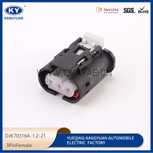 DJK70316A-1.2-21 Automotive connector wiring harness plug waterproof connector shell