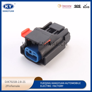54200221 Aptiv Series 2Pin connector