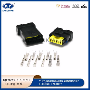 DJK7067Y-2.5-11/21 Peugeot Citroen throttle pump plug 211PC069S