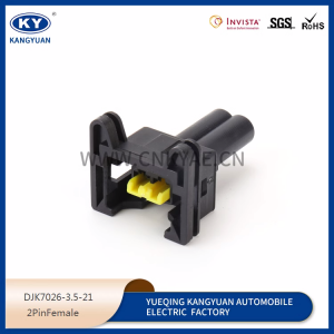 85202-1 injector ignition coil plug 2p hole automotive waterproof connector plug