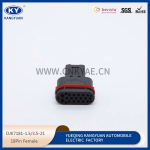 9002862E Auto waterproof 18Pin car Female composite connector Pigtail plug