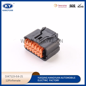 HP285-12021 domestic automobile connector DJK7123-0.6-21