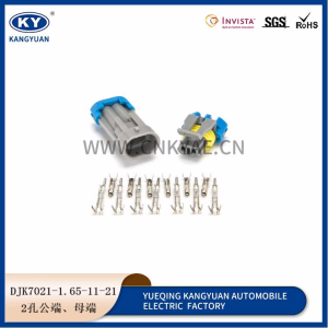 DJK7021-1.65-21-11 electric jet valve plug domestic 12162343/12052644