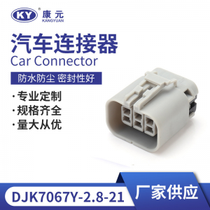 7122-1864-40 for automotive throttle motor plug Connector DJK7067Y-2.8-21