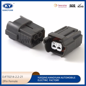6195-0043 for automotive fuel injection plug automotive plug DJF70214-2.2-21