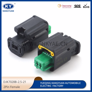 Suitable for automotive headlamp Sensor Plug automotive plug Connector DJK7028B-2.5-21