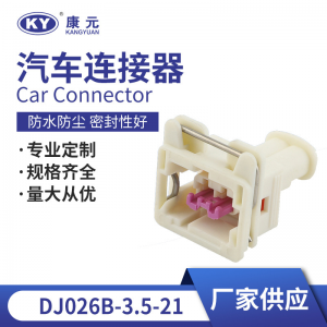 Automotive connectors waterproof connectors harness plug DJ7026B-3.5-21