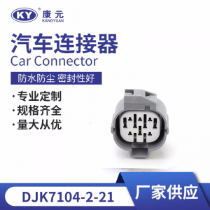 6189-0135/10P for automotive waterproof connectors automotive plug-in