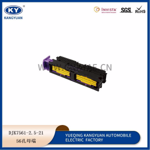 211PC562S0009  56-hole automotive connector automotive plug harness plug